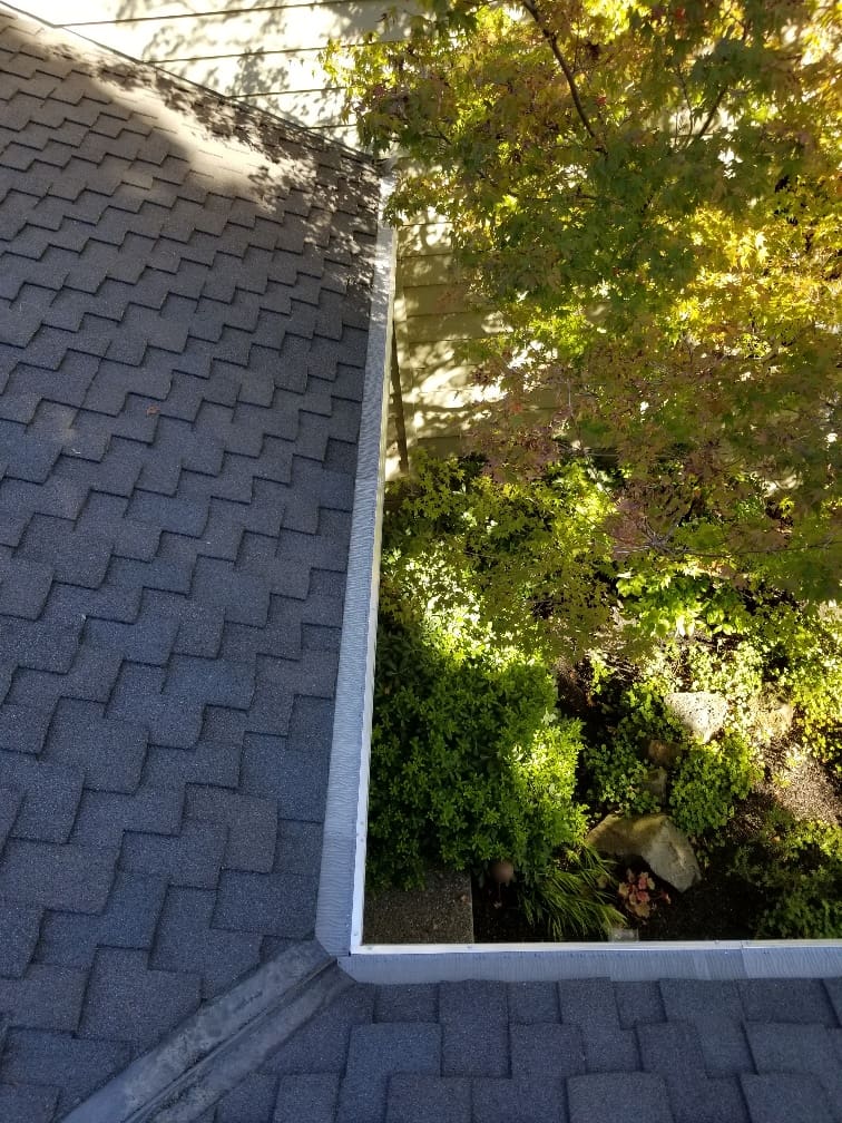 A view of the roof from above shows trees and bushes.