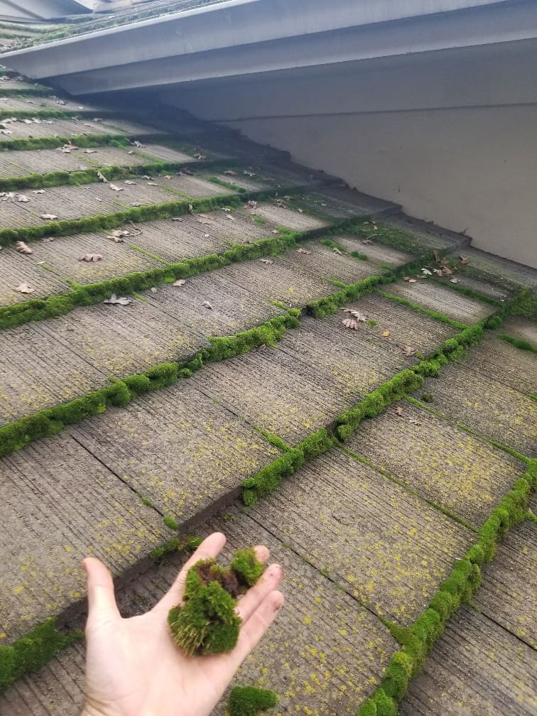 A person holding onto some grass on the steps
