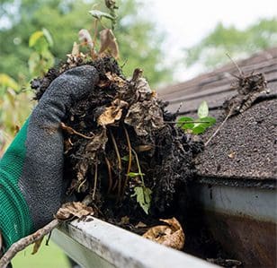 An expert carrying out gutter cleaning work in Danville, CA.