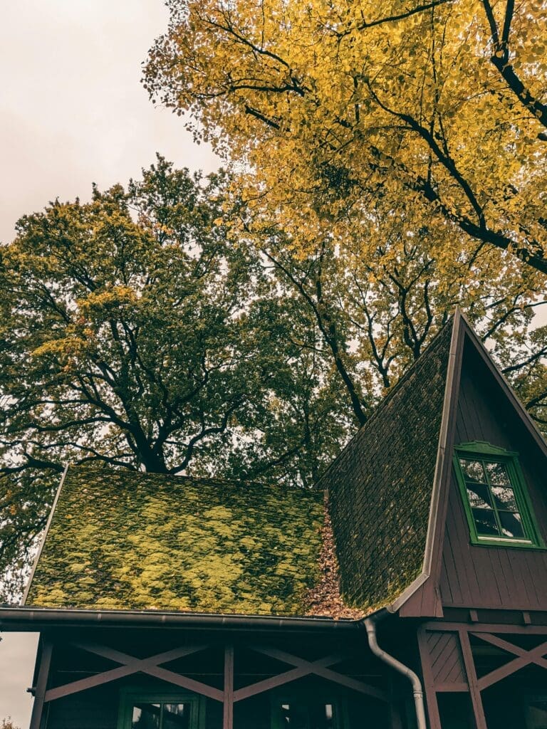A green roof on top of a house.