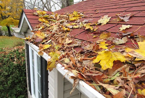 A close up of leaves on the roof of a house