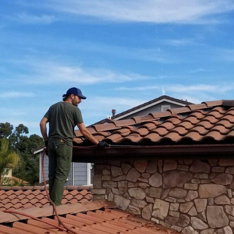 leafblasterbeforeafter1.jpg.jpg