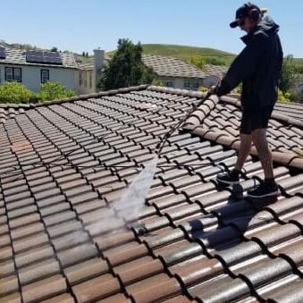 A technician performs roof cleaning with a soft-wash sprayer.