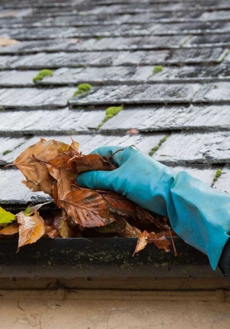 Expert worker doing gutter cleaning in a property in Moraga, CA.