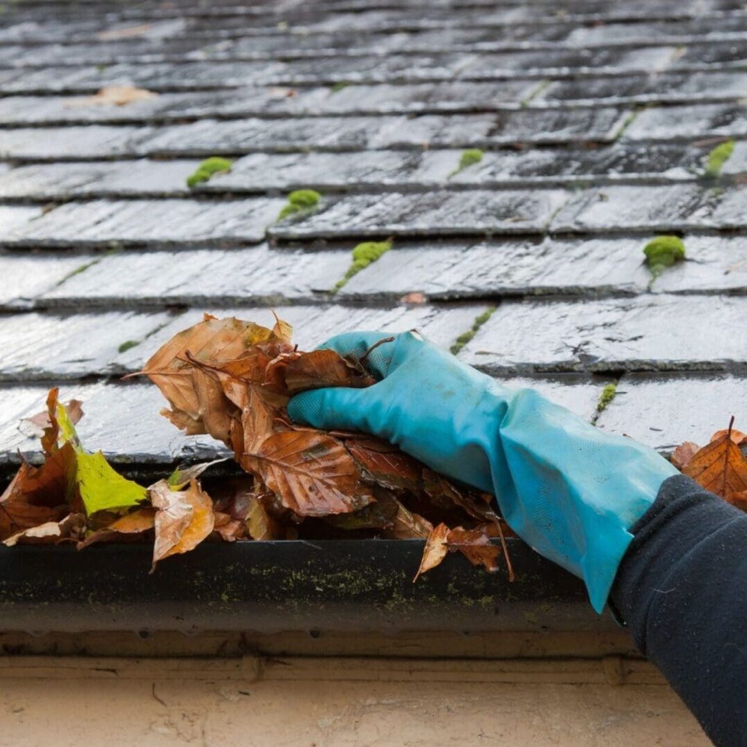 Expert worker doing gutter cleaning in a property in Moraga, CA.